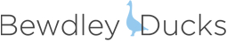 Bewdley Ducks by Nick Ashby